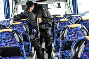 Django i Lila - policyjne psy szkoliły się w służbie