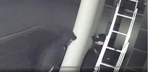 [VIDEO] Krzysztof Rutkowski: 100 000 złotych nagrody za wskazanie sprawców kradzieży stulecia we Wrocławiu!