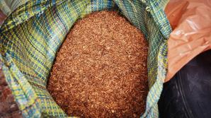 [VIDEO] Nie porzucili procederu, odpowiedzą przed sądem