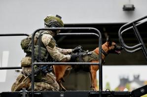 [VIDEO] Międzynarodowe ćwiczenia kontrterrorystyczne na Podlasiu