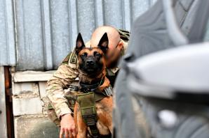 [VIDEO] Międzynarodowe ćwiczenia kontrterrorystyczne na Podlasiu