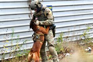 [VIDEO] Międzynarodowe ćwiczenia kontrterrorystyczne na Podlasiu