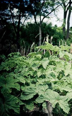 Większość w ubóstwie to kobiety – raport PAH