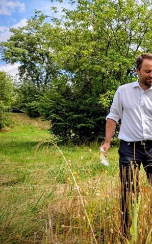 [VIDEO] Brzegi Wisły rozkwitają