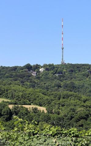 Wiedeń: Dwóch wandali zdewastowało Pomnik Zwycięstwa Jana III Sobieskiego w przeddzień 332. rocznicy Zwycięstwa nad Turkami 