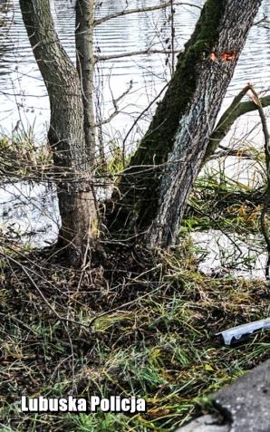 [VIDEO] Makabryczny wypadek w powiecie świebodzińskim! Pięć ofiar! Mieli od 17 do 19 lat. Jechali do pracy