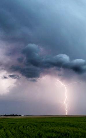 [VIDEO] Ulewa, gradobicie, powalone drzewo i straty w Zielonej Górze!