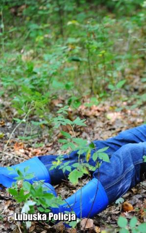 [VIDEO] Lepiej zapobiegać… niż się zgubić - lubuska policja apeluje o rozwagę