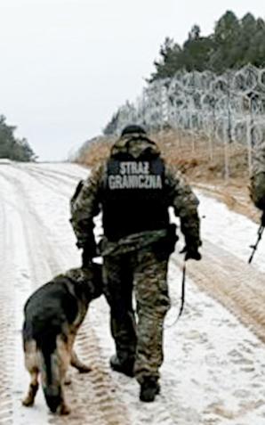 Niespokojny weekend na granicy. Wśród cudzoziemców, którzy wbrew przepisom próbowali w weekend dostać się na terytorium Polski byli obywatele: Syrii, Jemenu, Senegalu, Indii, Afganistanu i Turcji 