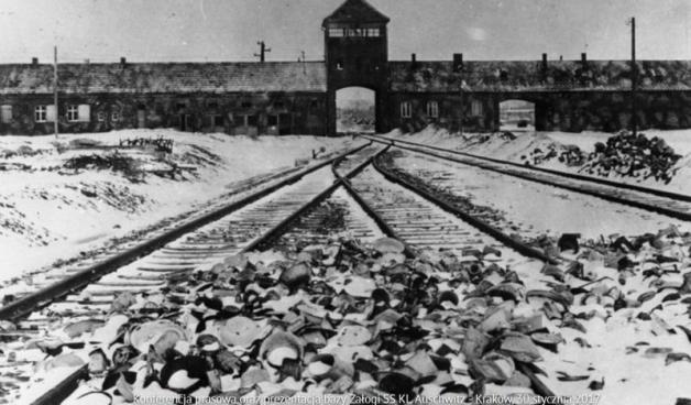 Konferencja prasowa oraz prezentacja bazy załogi SS KL Auschwitz TRANSMISJA LIVE – Kraków, 30 stycznia 2017