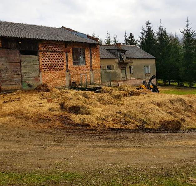 Lesko: Martwe konie znalezione w gospodarstwie na Podkarpaciu