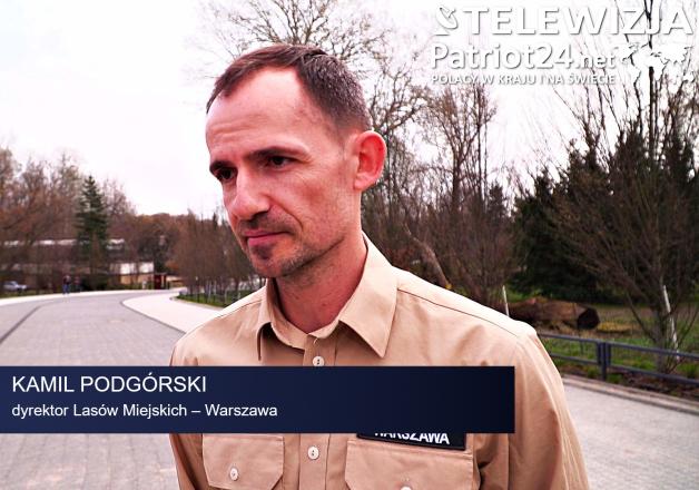 [VIDEO] Coraz częściej dzikie zwierzęta pojawiają się w miastach. Pomaganie im może tylko zaszkodzić